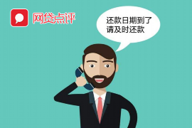 阜平为什么选择专业追讨公司来处理您的债务纠纷？